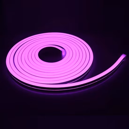 IP65 LED 밧줄 가동 가능한 네온 지구 점화 보장 3년을 가진 정면 훈장을 위한 LED 네온 코드 관 빛
